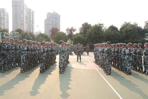 c1de0380abd64d72af611d24258d4433.jpg